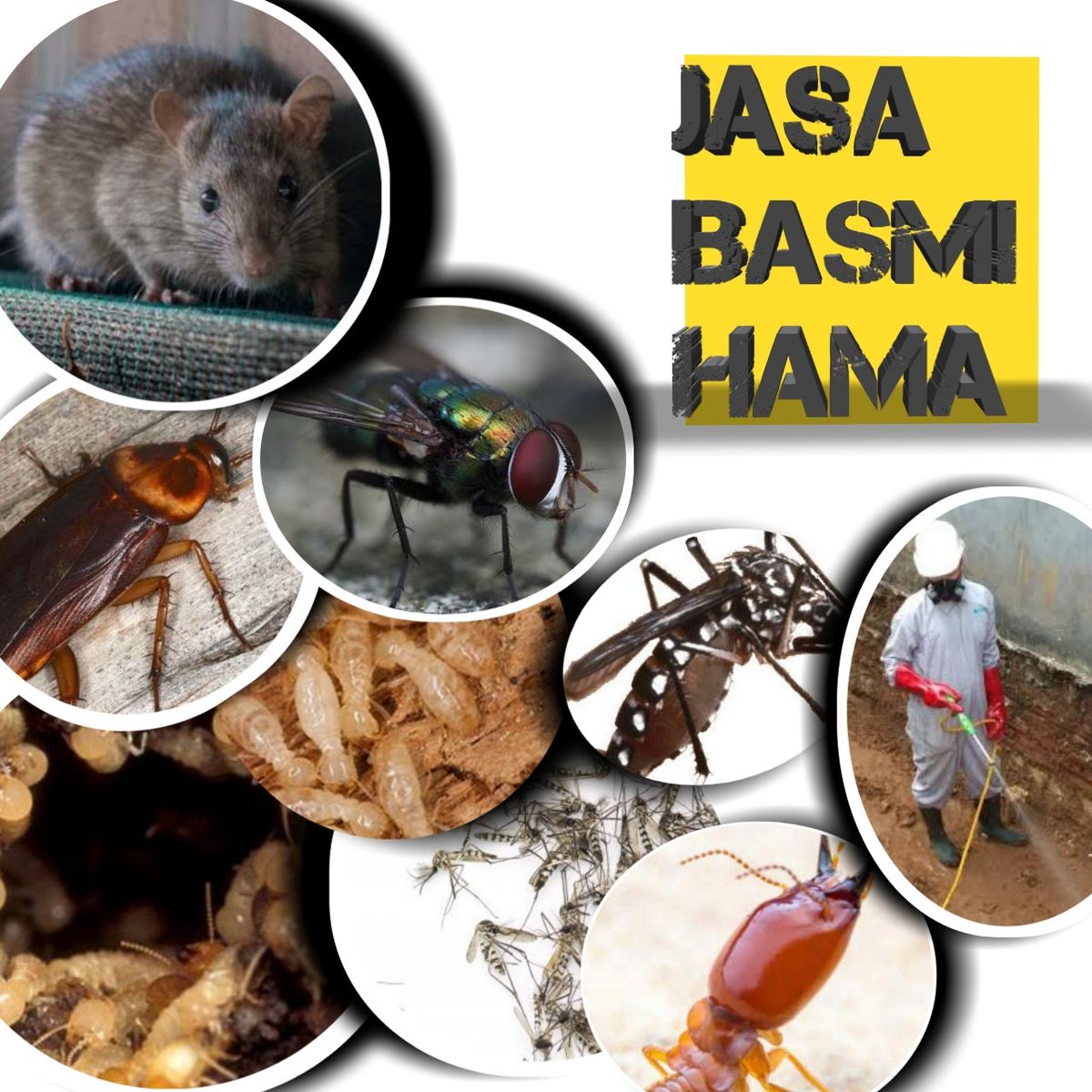 Nusa22 Pest Control Protective Action Banner