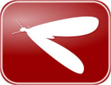 Termites