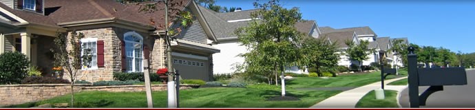 Termite Extermination